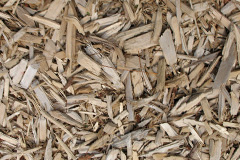 biomass boilers Pengam
